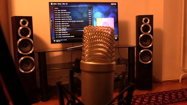 Elisa - No hero [Wharfedale Diamond 10.7] смотреть онлайн