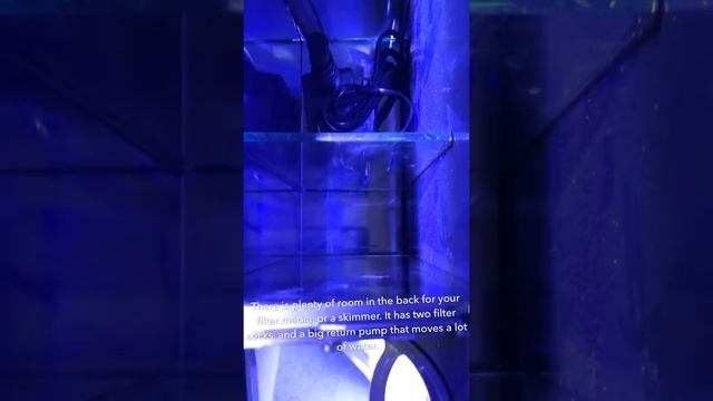 Cobalt aquatics C Vue aquarium video смотреть онлайн