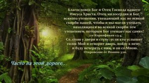 Часто на этой дороге..