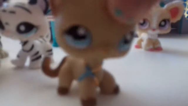 Пропали лпс 😣😣😣😵😵😵😵😵😟😟😟 смотреть онлайн