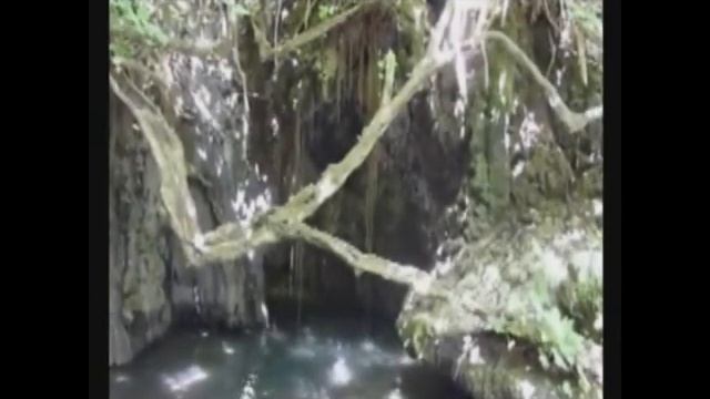 Flora Desondes ─ Cyprus The Baths Of Aphrodite