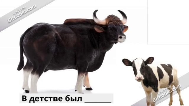 А. Шибаев "Кто кем становится ?" (copy) смотреть онлайн