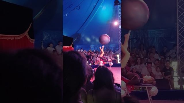 цирк шапіто орбіта Білгород - Днестровский смотреть онлайн