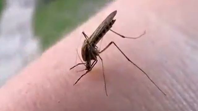 Семейные ценности и этика