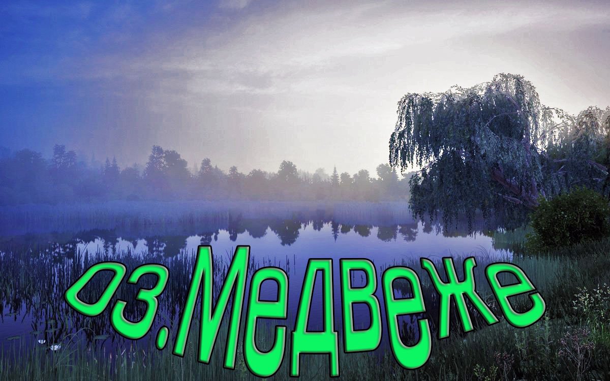 Русская Рыбалка 4 /PP4/  Медвежье Карповый фарм