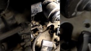 Метки грм фиат дукато