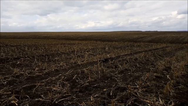 Охота на гусей Татарстан (скрадок) смотреть онлайн