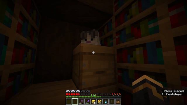 I Built a Sushi Bar in my Minecraft Mega Library! Blue axolotl sushi?? смотреть онлайн
