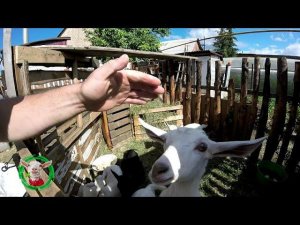 Крутое хозяйство