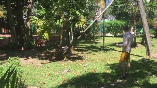 Кормлю мексиканских "голубей" хлебом смотреть онлайн