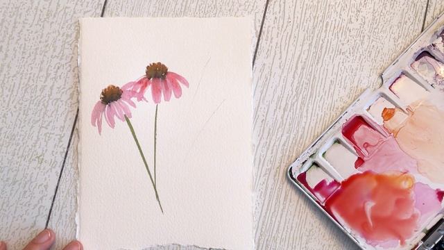 Easy Watercolor Cone Flowers and Lavender (Beginner Watercolor painting) смотреть онлайн