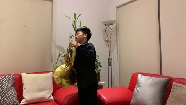 Horn Concerto No.3 in E flat major 1st Movement by Mozart смотреть онлайн