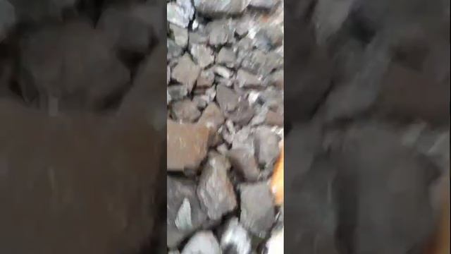 Нашел золото в Угле