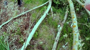 РЫБАЛКА В КАЛЯЗИНЕ НА ВОЛГЕ