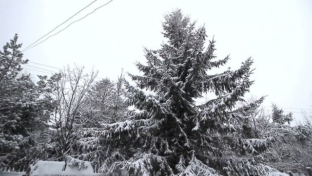 Просторный дачный дом + баня + беседка на участке 7 соток в 7 мин. от ЖД. Массив Михайловский смотреть онлайн