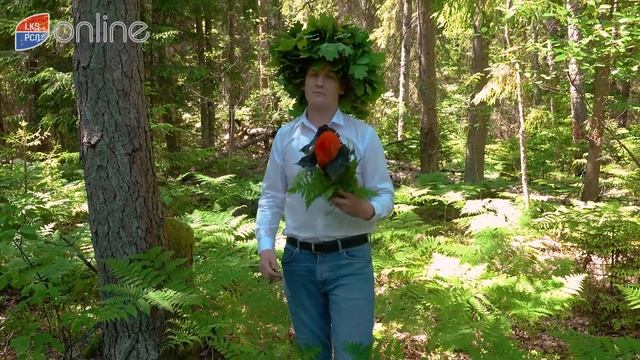 ЖЕЛАЕМ ВСЕМ ВЕСЁЛОГО ПРАЗДНИКА ЛИГО! смотреть онлайн