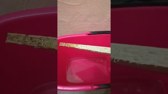 Муром ОСБ смотреть онлайн