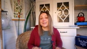 Посадка чеснока. Когда сажать, виды чеснока и можно ли посадить чеснок из магазина?