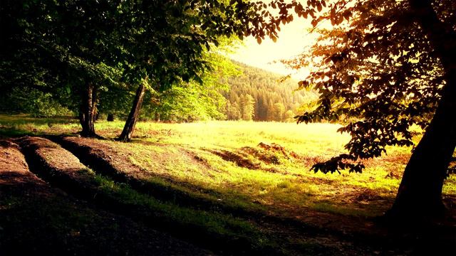 Emre Colak - Time to Forget смотреть онлайн
