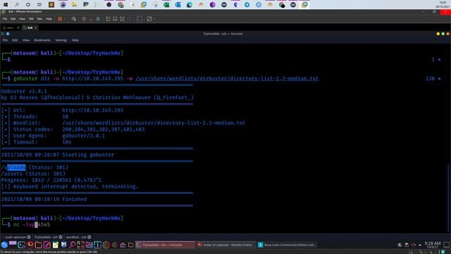 Bypassing PHP Disable Functions and Upload Filters P9 | TryHackMe смотреть онлайн