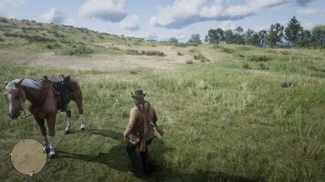 RDR 2: Pick all Yarrow needed for Herbalist Challenge 7 (21 to 22 of 30 near Twin Stack Pass) смотреть онлайн