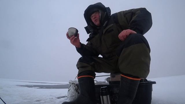 хорошая рыбалка на корюшку в Зеленогорске 12.01.23. смотреть онлайн