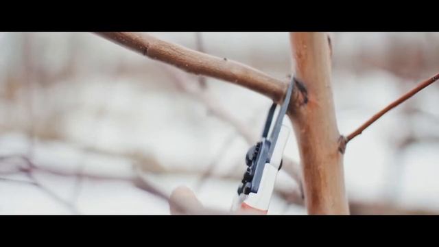 Секатор FELCO 8 смотреть онлайн