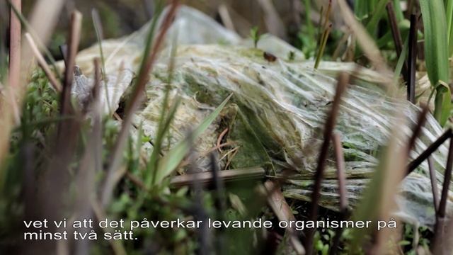 Havet av plast смотреть онлайн