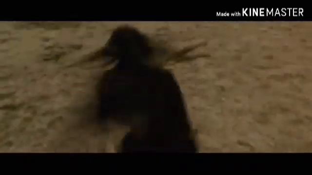 Bo'ri odam kino( Волк человек филм) смотреть онлайн