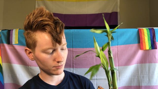 Holy Houseplants! | Houseplant Tour