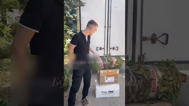 Видеопослание № 234 смотреть онлайн