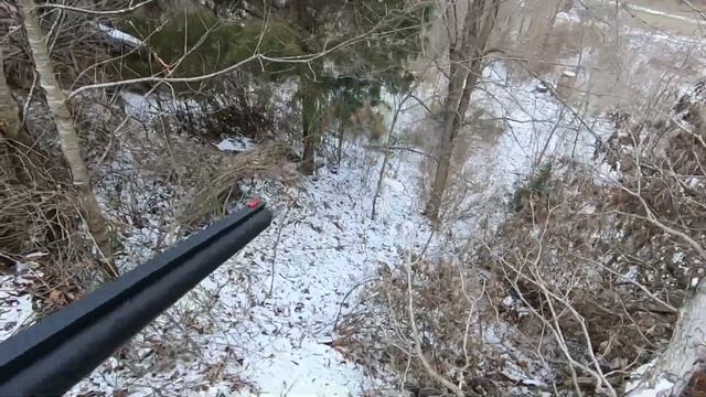 Rabbit Hunting With Beagles (Great Footage) Catch, Clean, Cook!!! смотреть онлайн