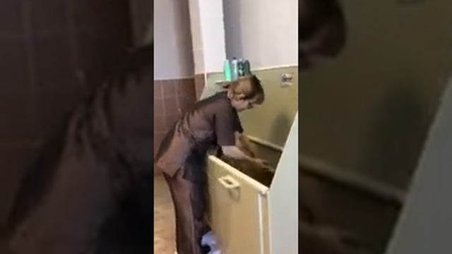 Мойка собаки в груминг салоне. Ванна для мытья собак "Animals" смотреть онлайн