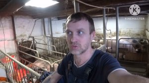 Размеры опоросного станка и  клетки для опороса !