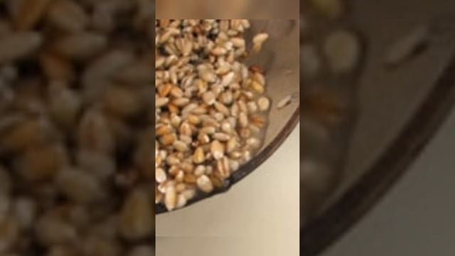 Что ел император ПЕТР 1? смотреть онлайн