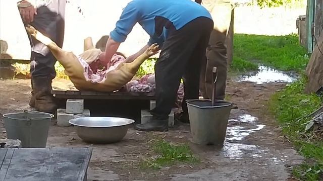 Разделка свиньи.