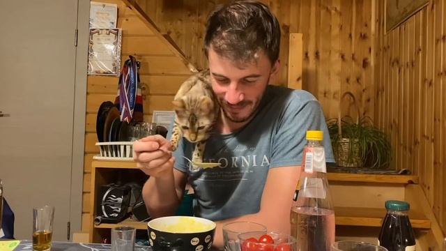 Киска мешает есть суп.)