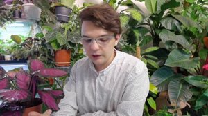 КАЛАТЕИ Тонкости в уходе/Мои Секреты/Грунт/Полив/Влажность воздуха/Освещение/