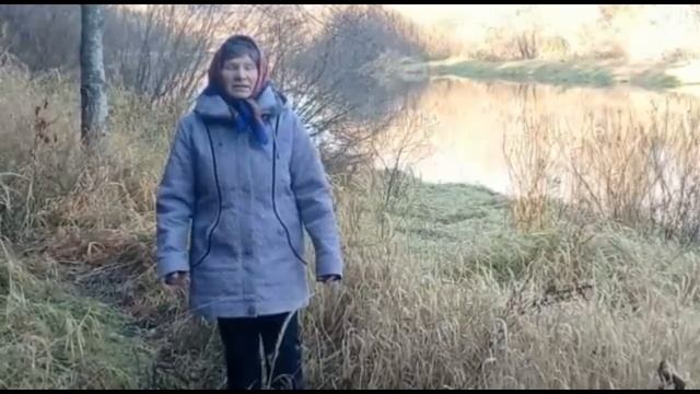 Вероника Тушнова "Вот говорят: Россия..." смотреть онлайн