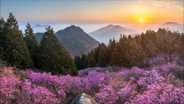 Masterboy - Dreams Within A Dream