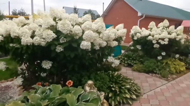 Вера и Юрий Ворсины из села Старые Ерыклы знамениты на всю округу своим диковинным садом смотреть онлайн