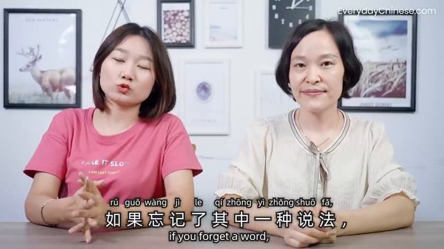 Southern Mandarin VS. Northern Mandarin 南北差异 - Chinese Conversation смотреть онлайн