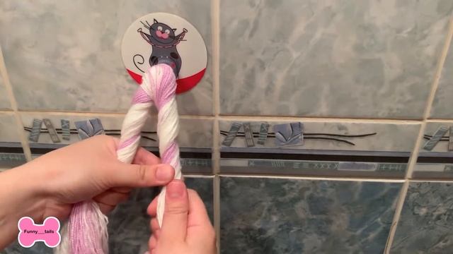 ИГРУШКА ДЛЯ СОБАКИ СВОИМИ РУКАМИ ОТ ЧИХУАХУА ФРУТЫ смотреть онлайн
