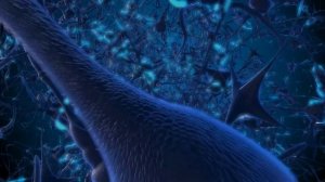 ЧЕРЕПНО МОЗГОВЫЕ НЕРВЫ (ИСЦЕЛЕНИЕ ГОЛОВЫ) САБЛИМИНАЛ + ЧАСТОТЫ