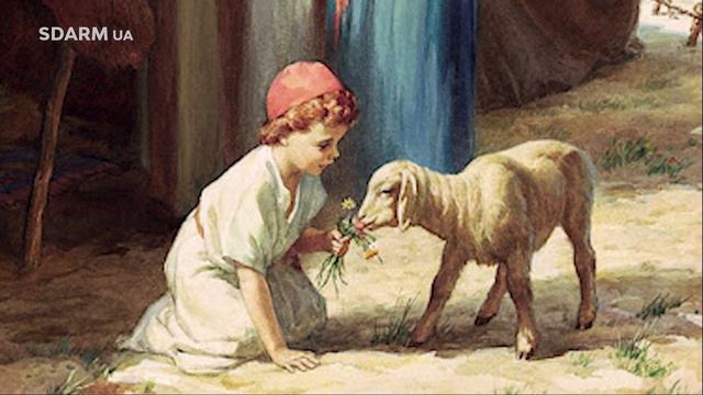 Вечерние размышления l Тема: Надежда l Горобец Максим 23.01.2022 смотреть онлайн