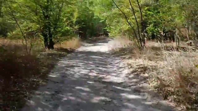 вызов духов Слендер/в лесу/финал смотреть онлайн