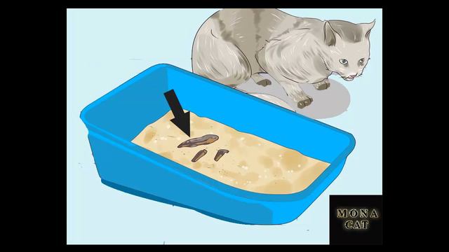 Symptoms of cats worms 🐛🐛🐛|How to Check Cats for Worms ? смотреть онлайн