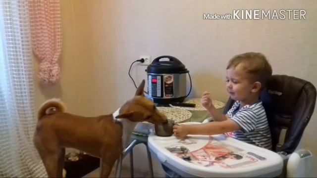 Друг спас Друга...СМОТРЕТЬ ВСЕМ!!! смотреть онлайн