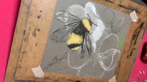 Шмель в цветах, рисуем сухой пастелью.