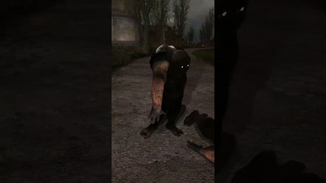 ПАРАЛИЗОВАННЫЙ МУДВЕДЬ - Сталкер ОП 2.2 Mod Pack LSC short #shorts смотреть онлайн